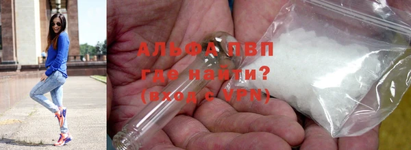 ПСИЛОЦИБИНОВЫЕ ГРИБЫ Новокубанск