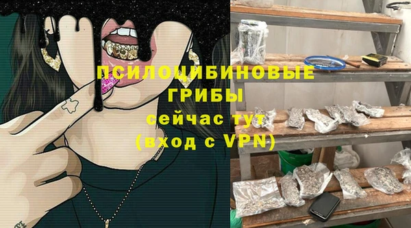 apvp Нязепетровск