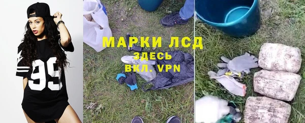 ПСИЛОЦИБИНОВЫЕ ГРИБЫ Новокубанск