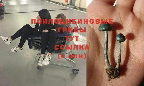 герыч Новозыбков